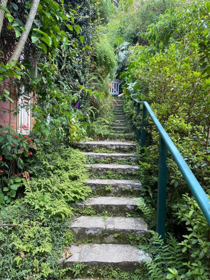 Villa Violeta Petrópolis 外观 照片