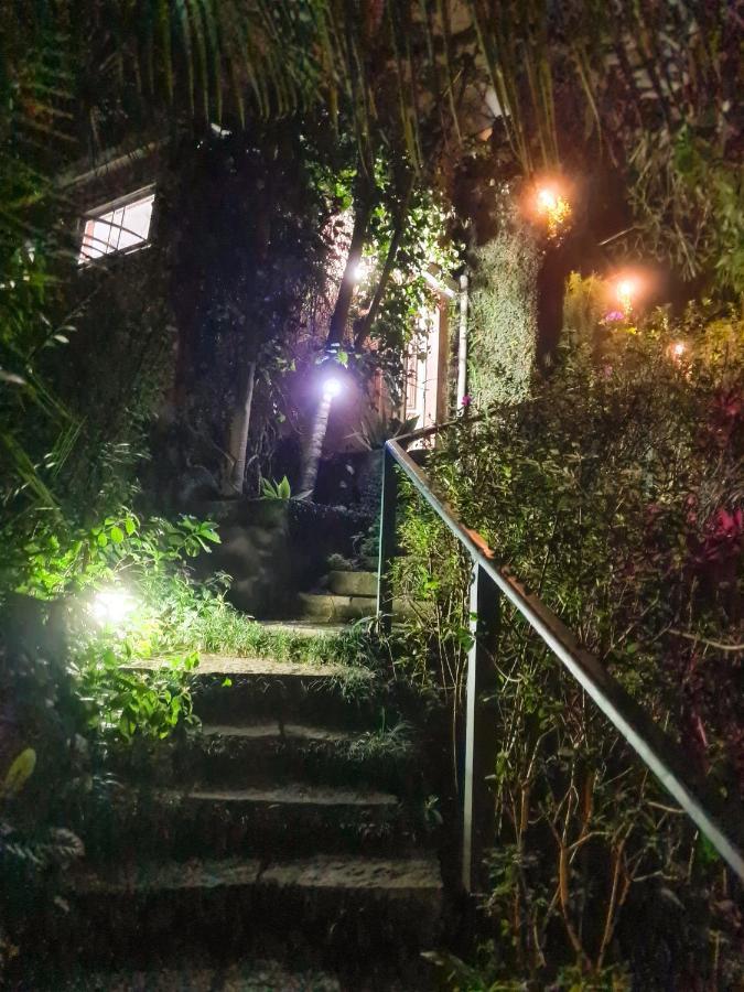 Villa Violeta Petrópolis 外观 照片