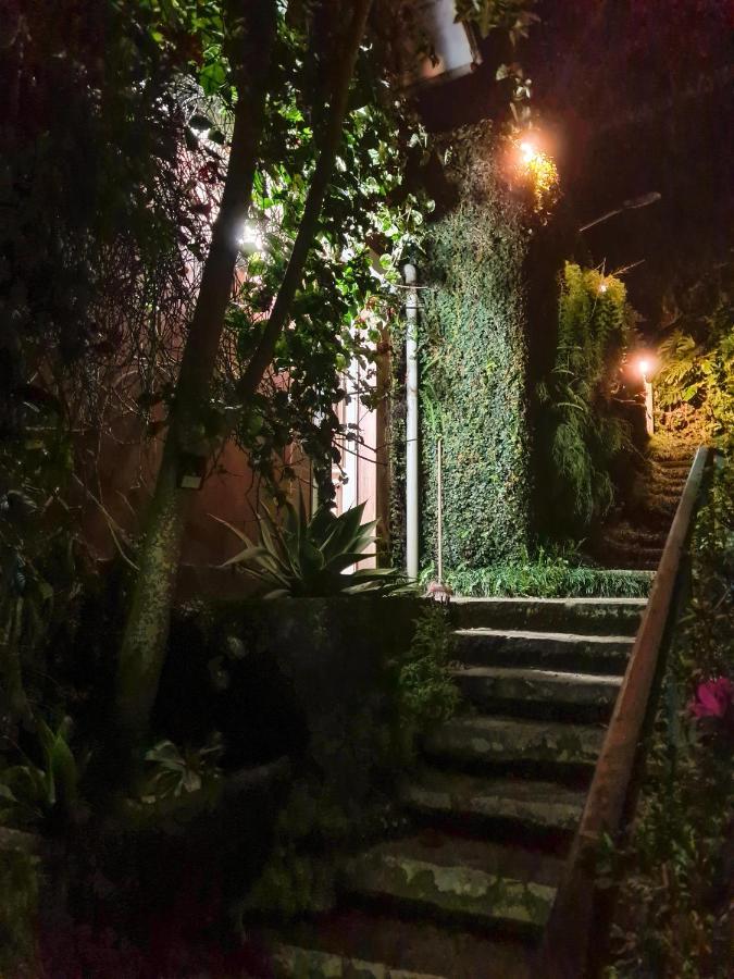 Villa Violeta Petrópolis 外观 照片