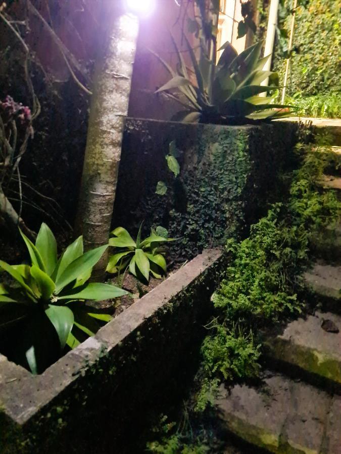 Villa Violeta Petrópolis 外观 照片