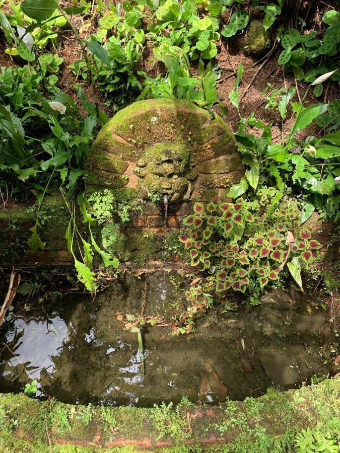 Villa Violeta Petrópolis 外观 照片