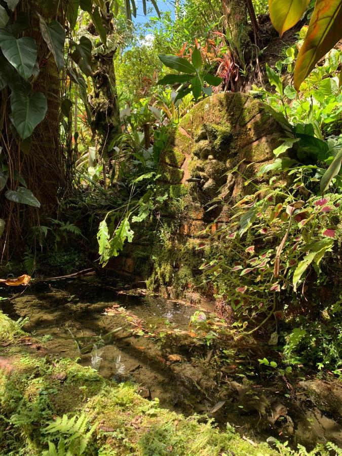 Villa Violeta Petrópolis 外观 照片