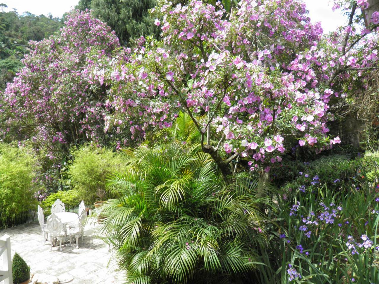 Villa Violeta Petrópolis 外观 照片