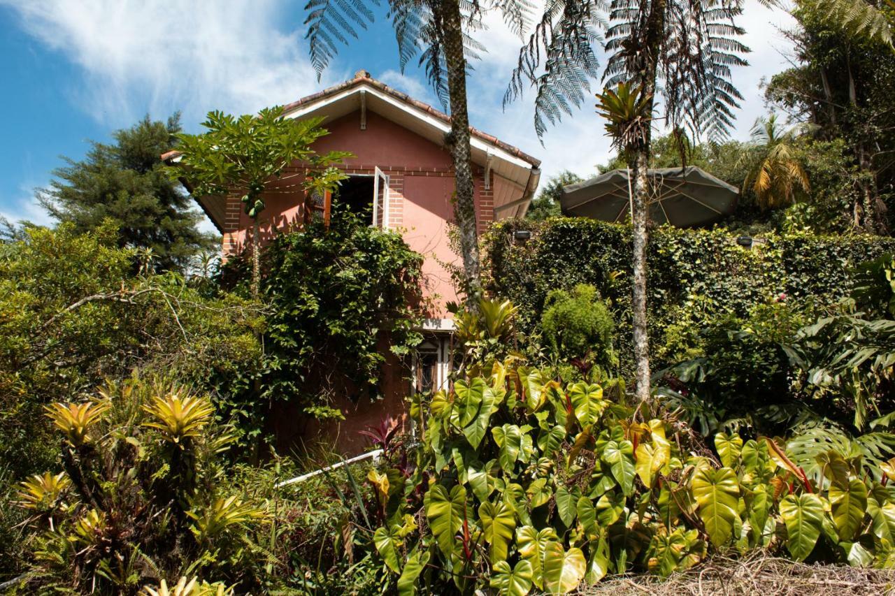 Villa Violeta Petrópolis 外观 照片